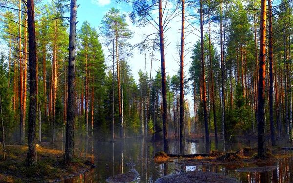  ,   Gennadij, 46 ,   ,   , c 