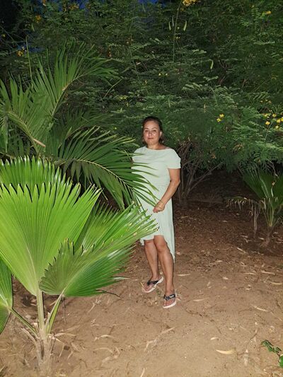  Tettnang,   , 48 ,     , c 