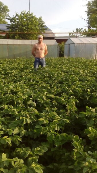  ,   Nikolai, 63 ,  
