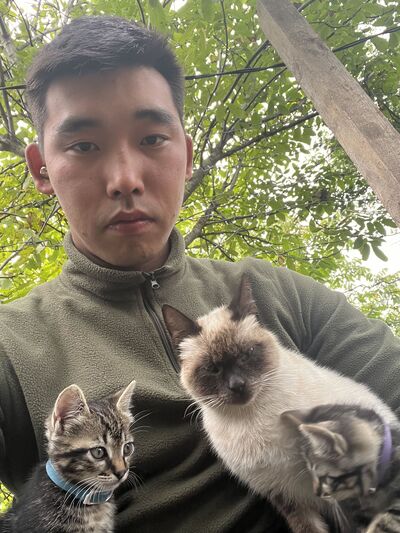  ,   , 28 ,   ,   , 