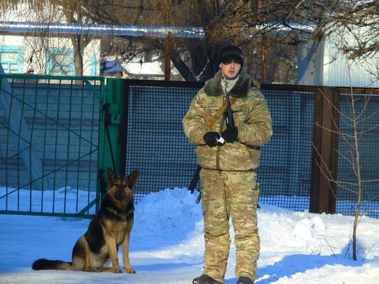  ,   Tibi, 33 ,   ,   , c 