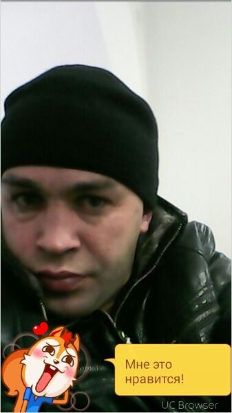   ,   , 43 ,   