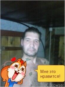  7321668  , 46 ,    