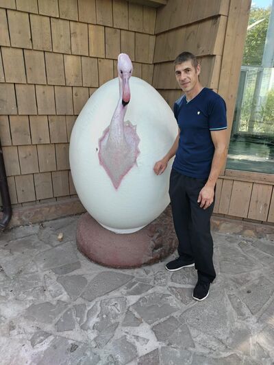  ,   , 40 ,   , 