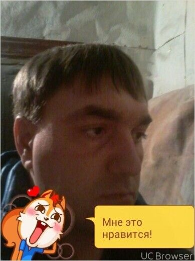  7289178  , 45 ,    