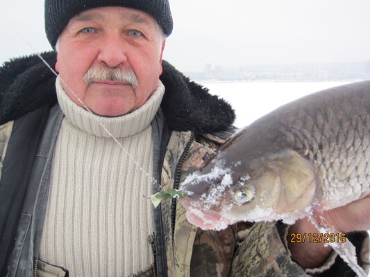  ,   Saha, 61 ,   