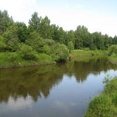 ���������� ������ ��������, ���� ������� ����, 33 ����, ������������ ��� ������, ����� � ���������, c�������� ���������, ���������