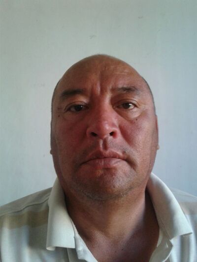  ,   , 51 ,   ,   
