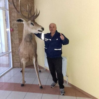  ,   , 55 ,   ,   , c , 