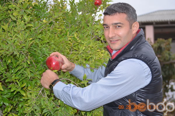  ,   Farman, 45 ,     , c 