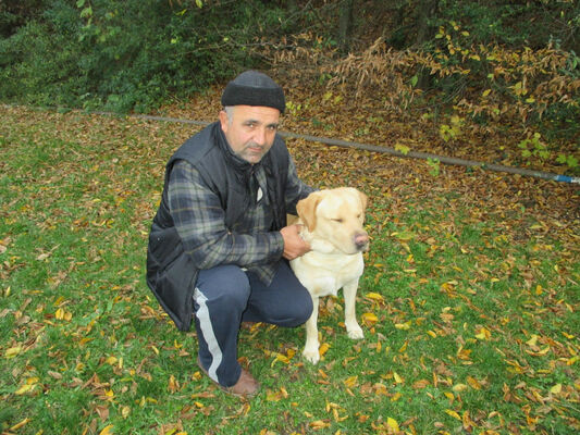  ,   Ilia, 61 ,   ,   , c 