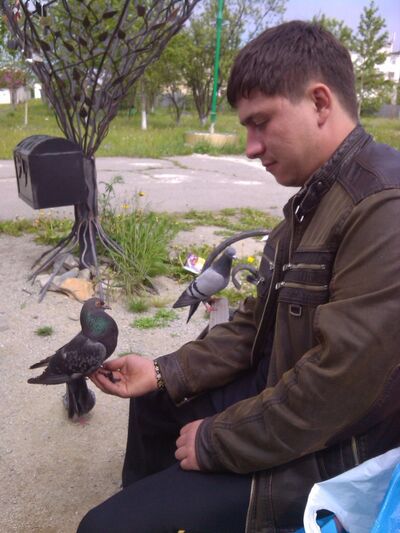  ,   Radik, 34 ,   ,   , c , 