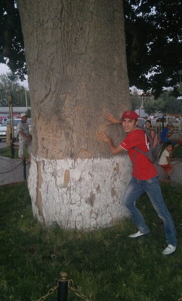  -,   Marat, 38 ,     , c , 