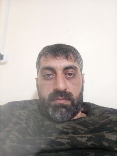  -,   HOVO, 40 ,   ,   