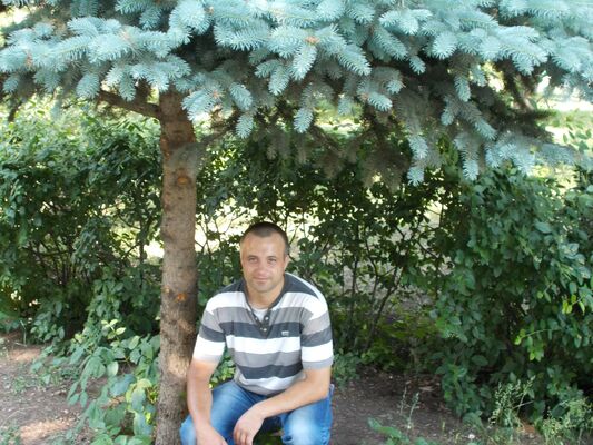  ,   , 43 ,     , c , 