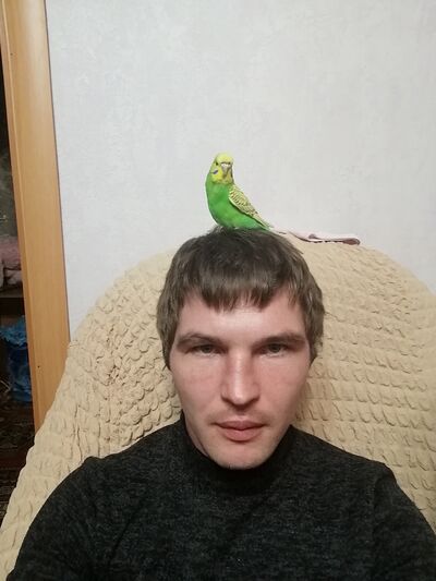  -,   , 36 ,   ,   