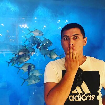 ���������� ��������, ���� ������� ������, 36 ���, ������������ ��� ����� � ���������, c�������� ���������