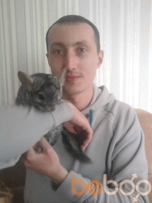 ���������� �����, ���� ������� ����, 38 ���, ������������ ��� ����� � ���������, c�������� ���������