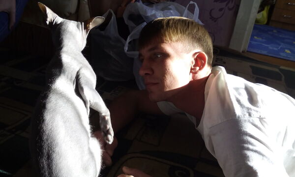  ,   , 38 ,   ,   , c 