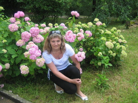  ,   , 54 ,   ,   