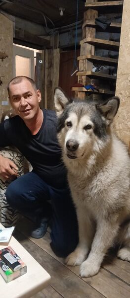  ,   , 44 ,   ,   , c , 