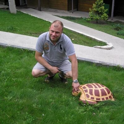  King George,   , 41 ,   ,   , c 