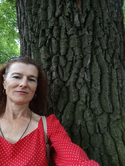  ,   , 55 ,   