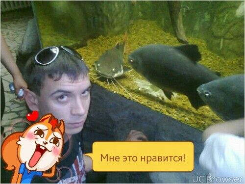   ,   , 35 ,     , c , 
