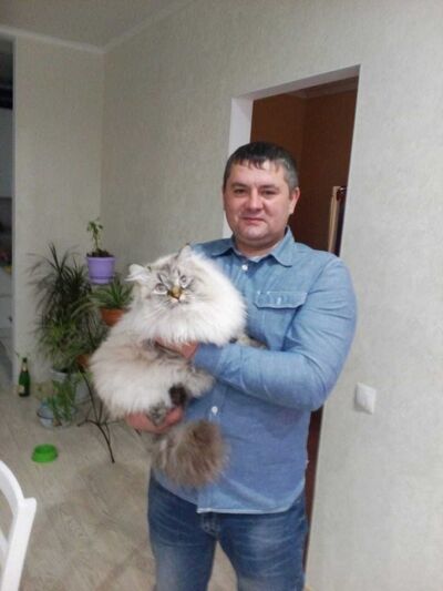  ,   Qwerty, 46 ,   ,   , c 