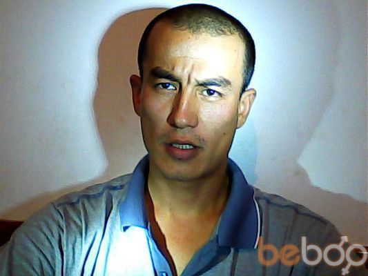  ,   Nur, 43 ,   
