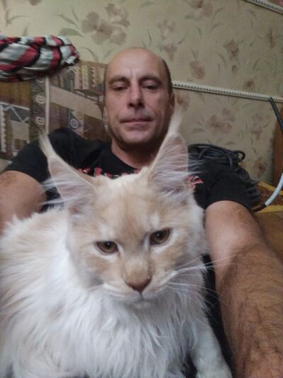  -,   , 51 ,     , 