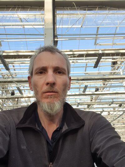  ,   Renat, 38 ,     , c 