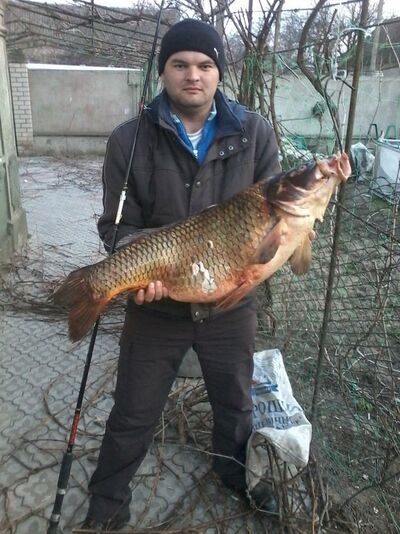  ,   Valentin, 35 ,   