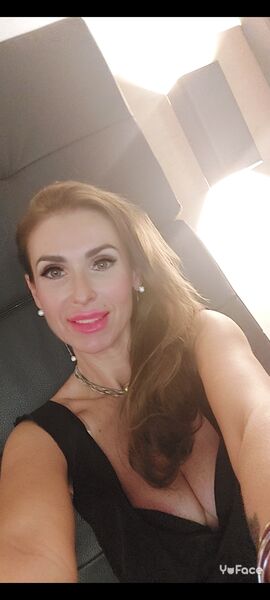  Stuttgart,   Svetlana, 48 ,   ,   , c 
