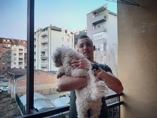 ,   Nemanja, 29 ,   ,   , c 