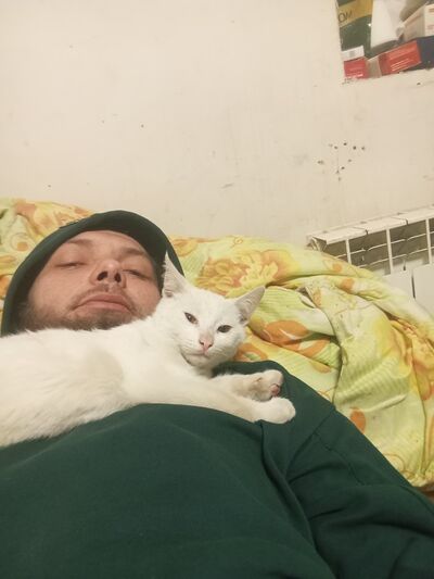  -,   Nikolay, 33 ,   ,   , c , 
