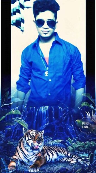  ?,   BAPI, 31 ,   ,   , c 