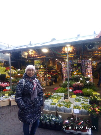  Amstenrade,   Galia, 62 ,   ,   , c 