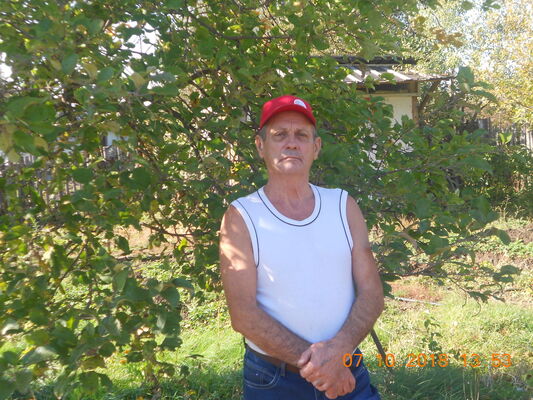  ,   , 74 ,  