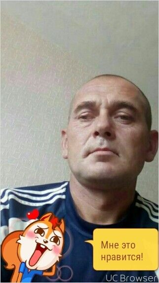  9955198  , 48 ,    