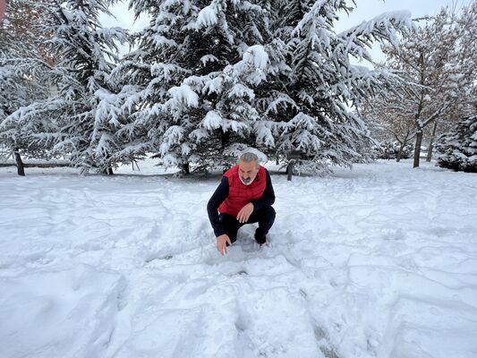  ,   Hamdi, 52 ,   ,   