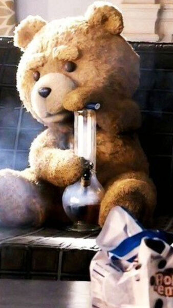  ,   Teddy, 30 ,   ,   , c 