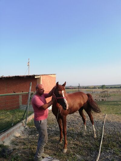  ,   Vedat, 45 ,   ,   