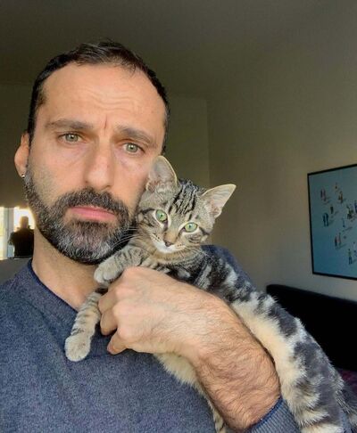  -,   , 41 ,  