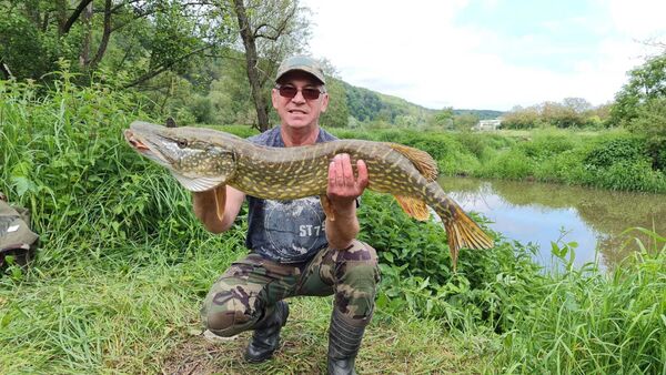  Schweinfurt,   , 55 ,   ,   