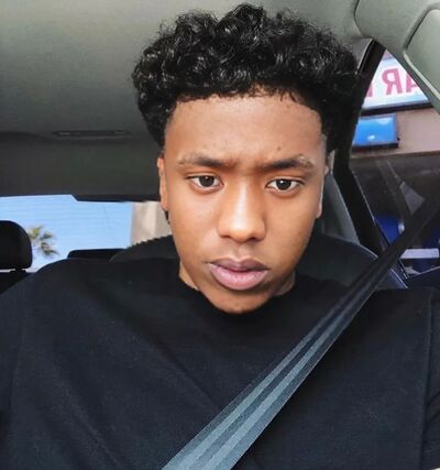  ,   ZALMAAN, 21 ,   ,   