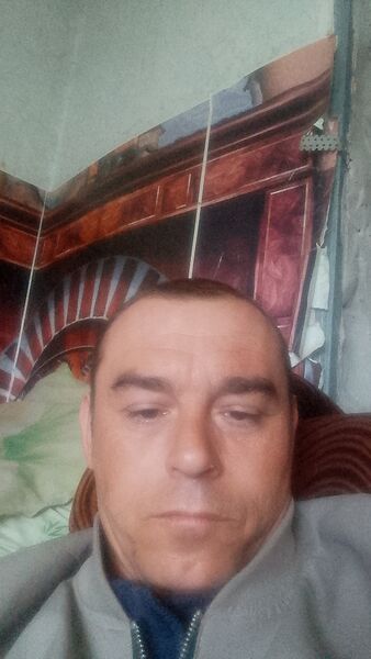  --,   , 38 ,   ,   