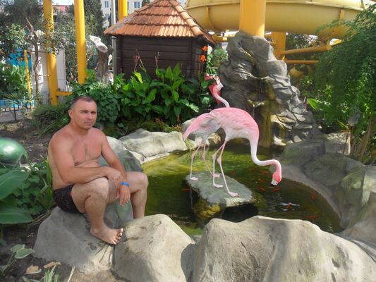  ,   , 48 ,   