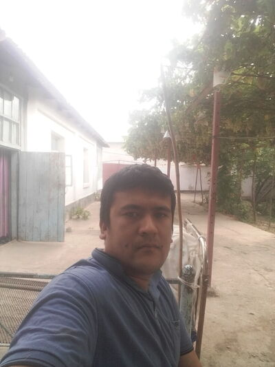  ,   Utkir, 31 ,   ,   , c 