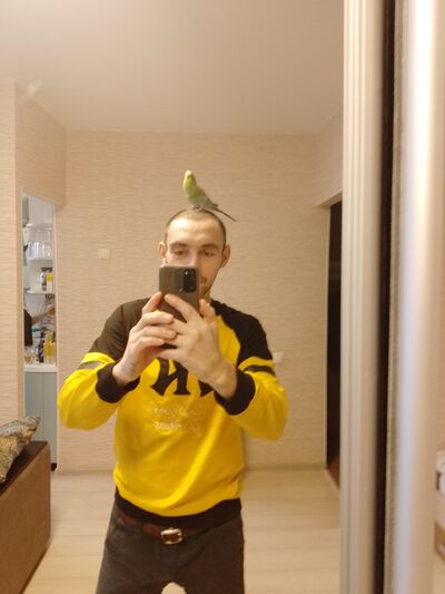  ,   , 37 ,   ,   , c , 